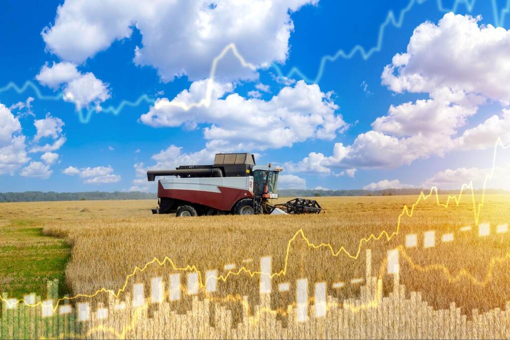 Colheitadeira em campo de trigo simbolizando o crescimento e rentabilidade de como investir no agronegócio.