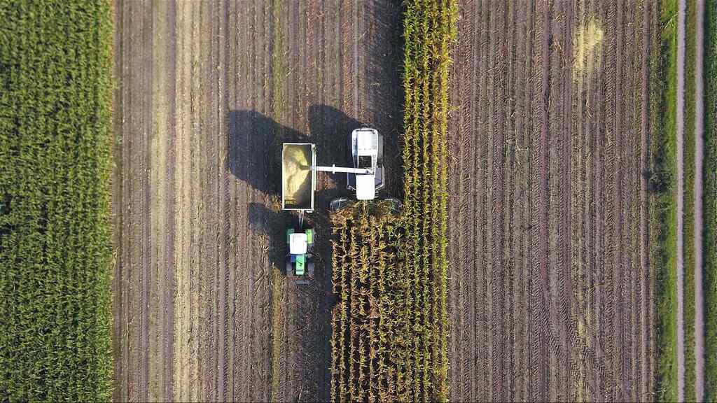 Vista aérea de colheita mecanizada representando oportunidades de como investir no agronegócio.